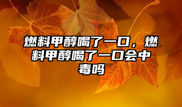燃料甲醇喝了一口，燃料甲醇喝了一口會(huì)中毒嗎