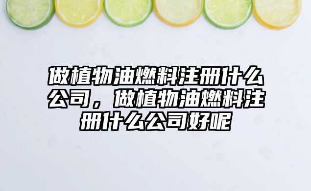 做植物油燃料注冊(cè)什么公司，做植物油燃料注冊(cè)什么公司好呢