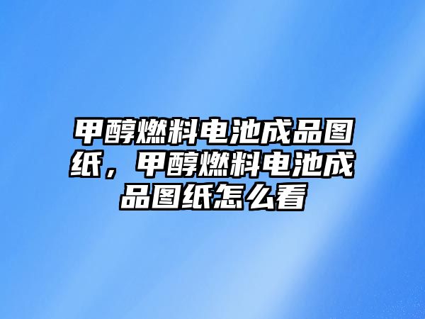 甲醇燃料電池成品圖紙,甲醇燃料電池成品圖紙?jiān)趺纯? class=