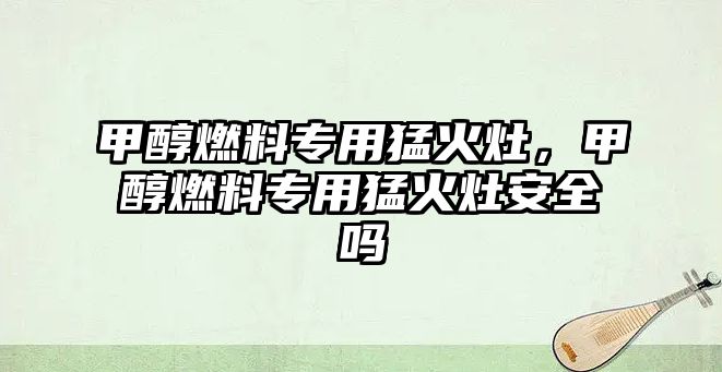 甲醇燃料專用猛火灶，甲醇燃料專用猛火灶安全嗎