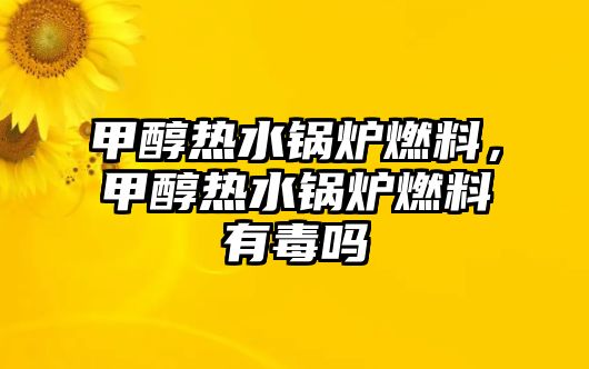 甲醇熱水鍋爐燃料，甲醇熱水鍋爐燃料有毒嗎
