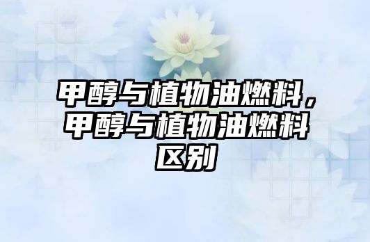 甲醇與植物油燃料，甲醇與植物油燃料區(qū)別