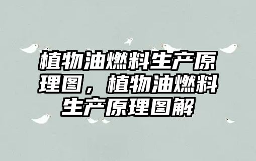 植物油燃料生產(chǎn)原理圖，植物油燃料生產(chǎn)原理圖解