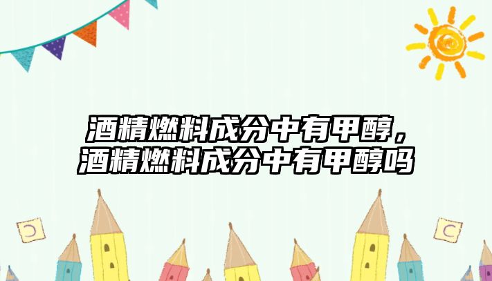 酒精燃料成分中有甲醇，酒精燃料成分中有甲醇嗎