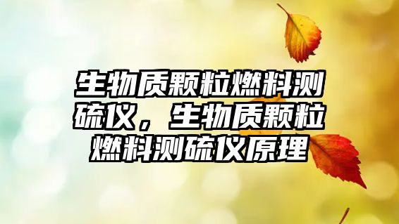 生物質(zhì)顆粒燃料測硫儀，生物質(zhì)顆粒燃料測硫儀原理