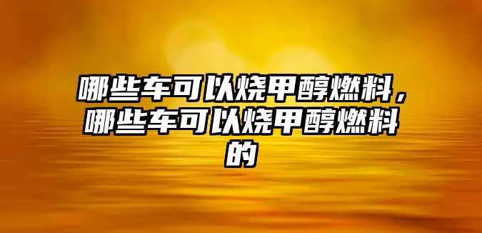 哪些車可以燒甲醇燃料，哪些車可以燒甲醇燃料的