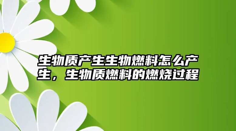生物質產(chǎn)生生物燃料怎么產(chǎn)生，生物質燃料的燃燒過程