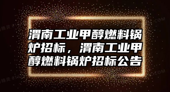 渭南工業(yè)甲醇燃料鍋爐招標(biāo)，渭南工業(yè)甲醇燃料鍋爐招標(biāo)公告