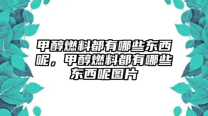 甲醇燃料都有哪些東西呢，甲醇燃料都有哪些東西呢圖片