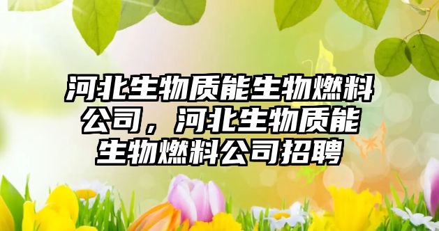 河北生物質能生物燃料公司，河北生物質能生物燃料公司招聘