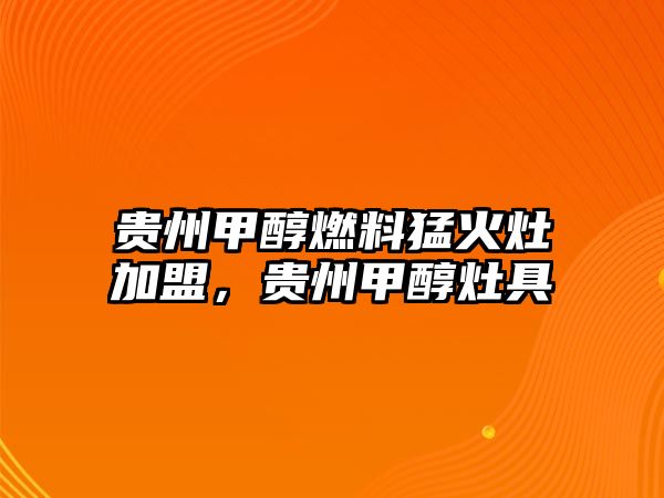 貴州甲醇燃料猛火灶加盟，貴州甲醇灶具