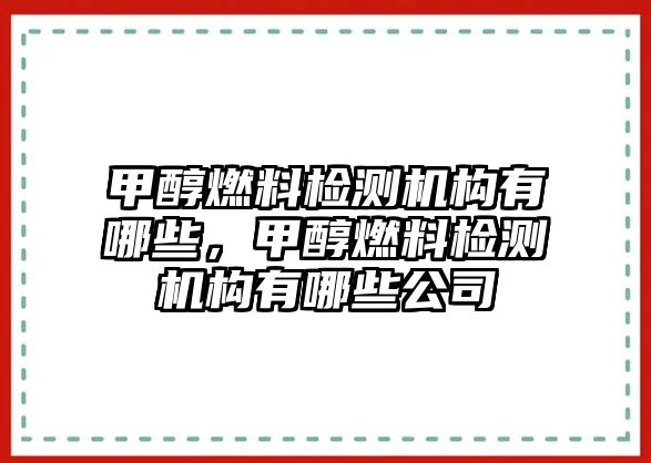 甲醇燃料檢測機構(gòu)有哪些，甲醇燃料檢測機構(gòu)有哪些公司