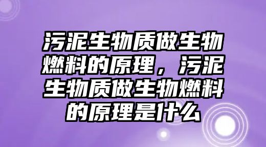 污泥生物質(zhì)做生物燃料的原理，污泥生物質(zhì)做生物燃料的原理是什么