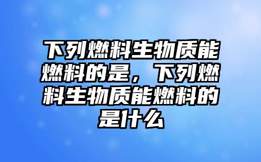 下列燃料生物質(zhì)能燃料的是，下列燃料生物質(zhì)能燃料的是什么