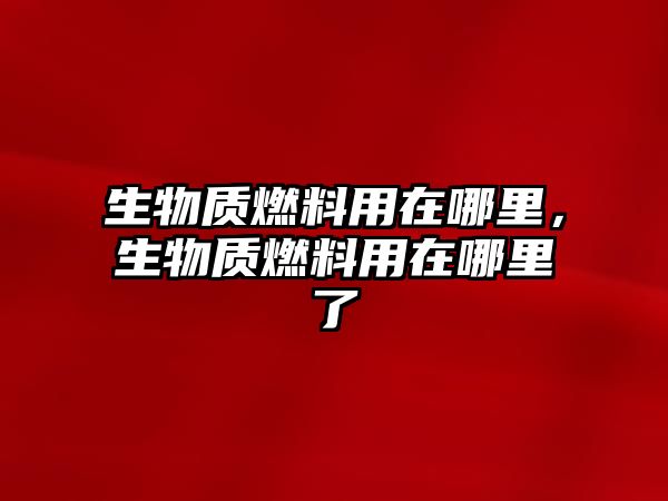 生物質(zhì)燃料用在哪里，生物質(zhì)燃料用在哪里了