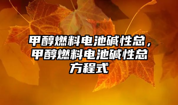 甲醇燃料電池堿性總，甲醇燃料電池堿性總方程式
