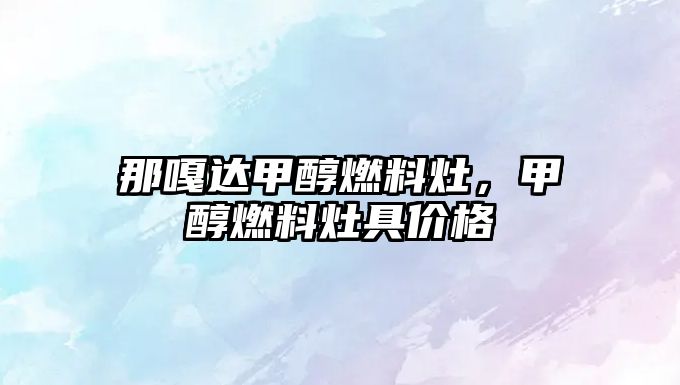 那嘎達甲醇燃料灶，甲醇燃料灶具價格
