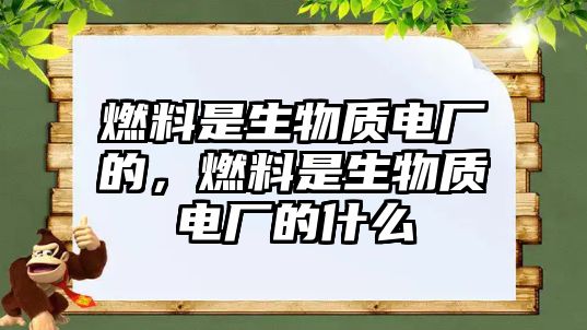 燃料是生物質(zhì)電廠的，燃料是生物質(zhì)電廠的什么