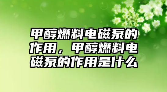 甲醇燃料電磁泵的作用，甲醇燃料電磁泵的作用是什么