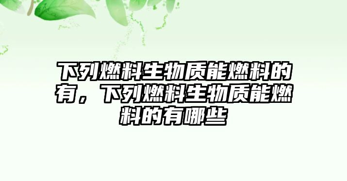 下列燃料生物質(zhì)能燃料的有，下列燃料生物質(zhì)能燃料的有哪些