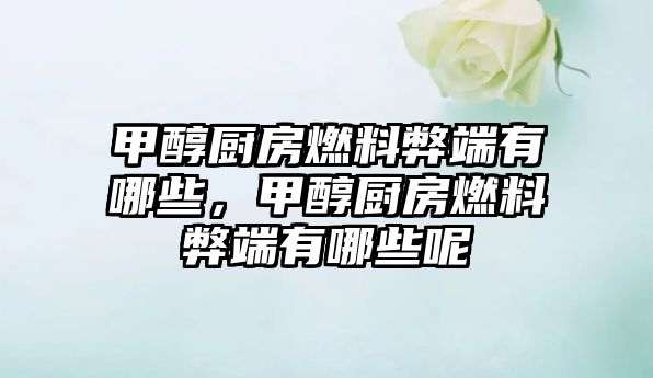 甲醇廚房燃料弊端有哪些，甲醇廚房燃料弊端有哪些呢