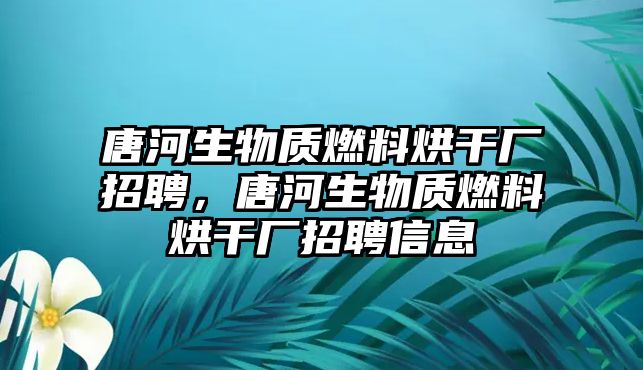 唐河生物質(zhì)燃料烘干廠招聘，唐河生物質(zhì)燃料烘干廠招聘信息