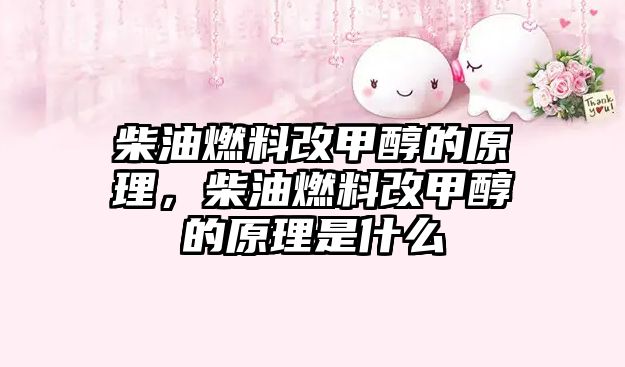柴油燃料改甲醇的原理，柴油燃料改甲醇的原理是什么