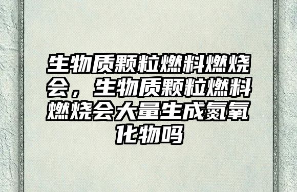 生物質(zhì)顆粒燃料燃燒會(huì)，生物質(zhì)顆粒燃料燃燒會(huì)大量生成氮氧化物嗎
