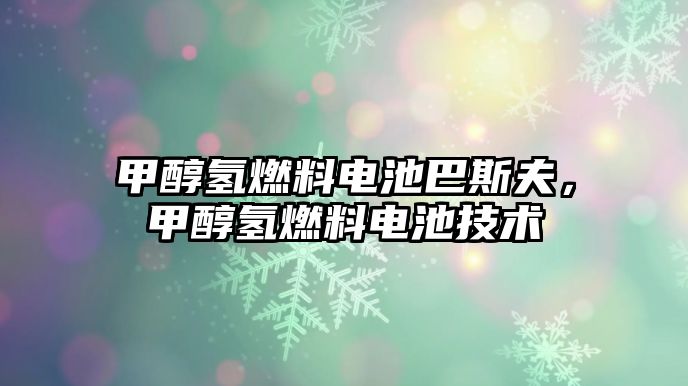 甲醇?xì)淙剂想姵匕退狗?，甲醇?xì)淙剂想姵丶夹g(shù)