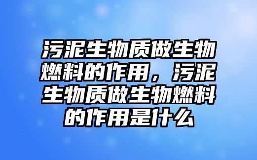 污泥生物質(zhì)做生物燃料的作用，污泥生物質(zhì)做生物燃料的作用是什么