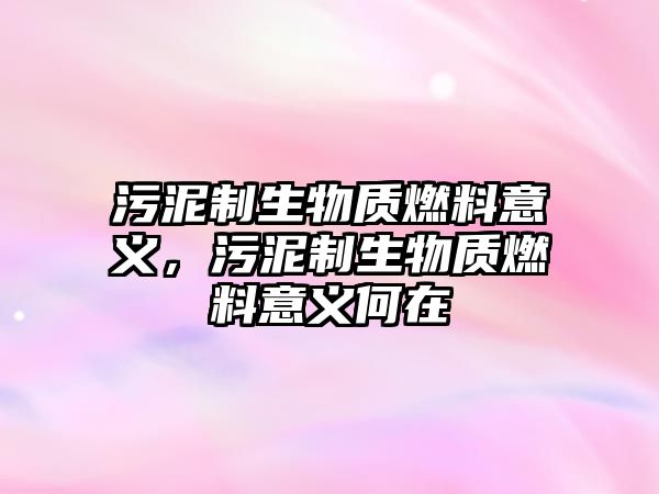污泥制生物質(zhì)燃料意義，污泥制生物質(zhì)燃料意義何在