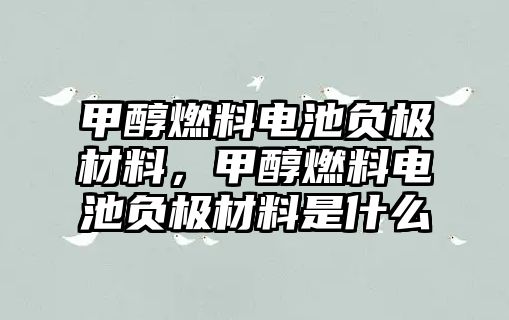 甲醇燃料電池負極材料，甲醇燃料電池負極材料是什么