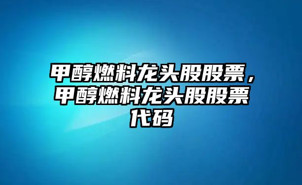 甲醇燃料龍頭股股票，甲醇燃料龍頭股股票代碼