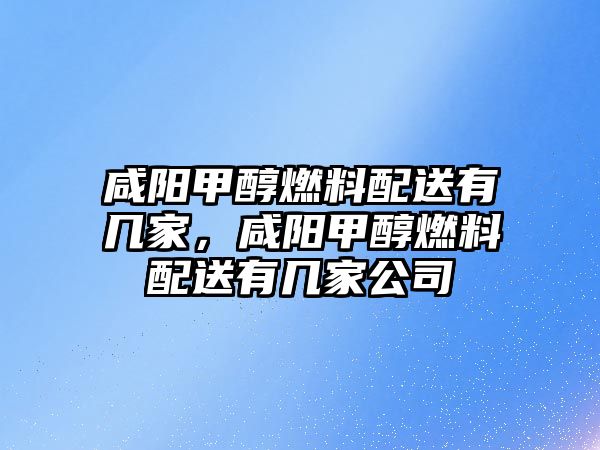 咸陽甲醇燃料配送有幾家，咸陽甲醇燃料配送有幾家公司