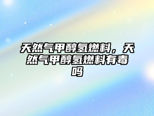 天然氣甲醇?xì)淙剂?,天然氣甲醇?xì)淙剂嫌卸締? class=