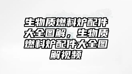 生物質(zhì)燃料爐配件大全圖解，生物質(zhì)燃料爐配件大全圖解視頻