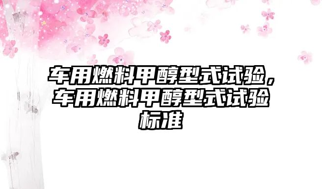 車用燃料甲醇型式試驗(yàn)，車用燃料甲醇型式試驗(yàn)標(biāo)準(zhǔn)