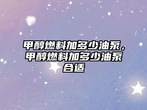 甲醇燃料加多少油泵，甲醇燃料加多少油泵合適