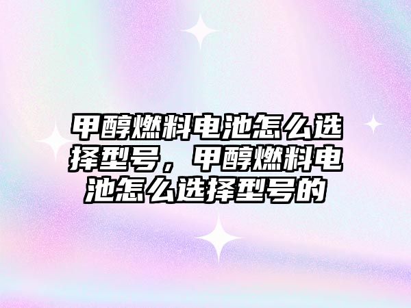 甲醇燃料電池怎么選擇型號(hào)，甲醇燃料電池怎么選擇型號(hào)的