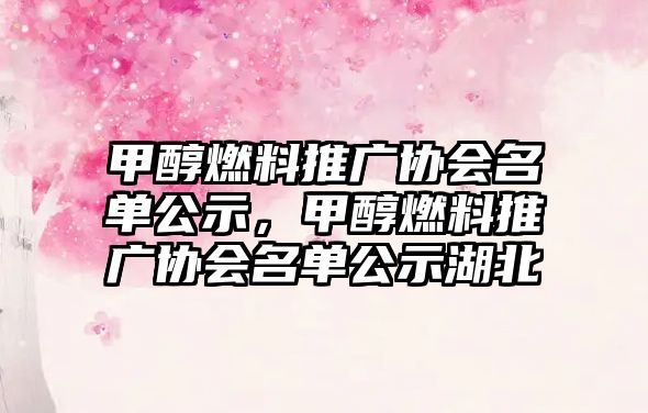 甲醇燃料推廣協(xié)會名單公示，甲醇燃料推廣協(xié)會名單公示湖北