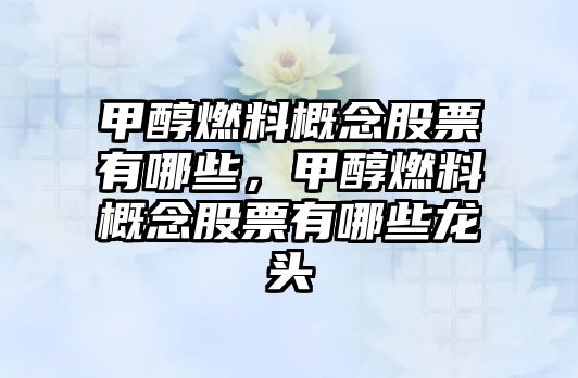 甲醇燃料概念股票有哪些，甲醇燃料概念股票有哪些龍頭