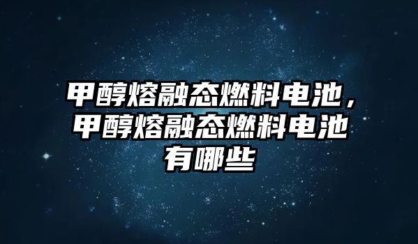 甲醇熔融態(tài)燃料電池，甲醇熔融態(tài)燃料電池有哪些