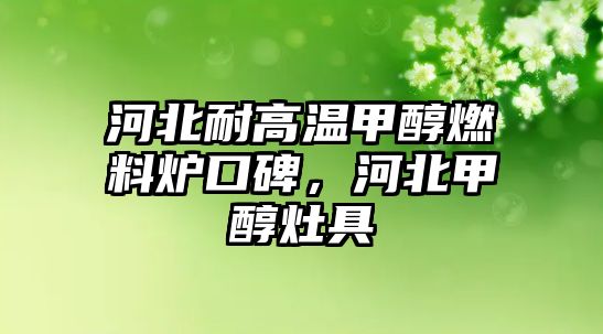 河北耐高溫甲醇燃料爐口碑，河北甲醇灶具