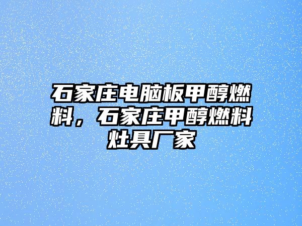 石家莊電腦板甲醇燃料，石家莊甲醇燃料灶具廠家