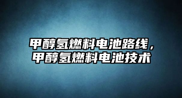 甲醇?xì)淙剂想姵芈肪€，甲醇?xì)淙剂想姵丶夹g(shù)