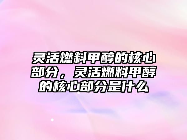 靈活燃料甲醇的核心部分，靈活燃料甲醇的核心部分是什么