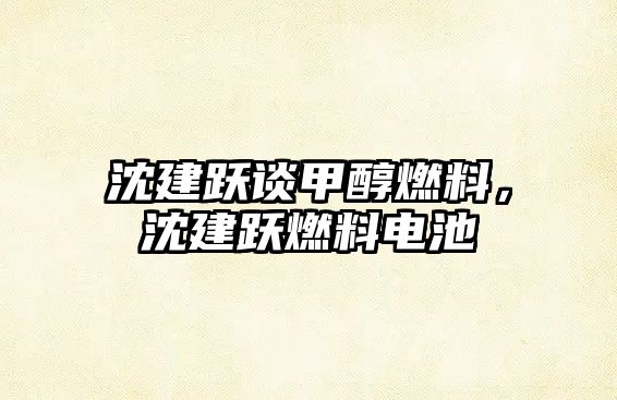 沈建躍談甲醇燃料，沈建躍燃料電池