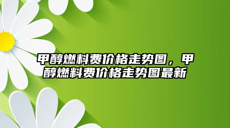 甲醇燃料費(fèi)價(jià)格走勢(shì)圖，甲醇燃料費(fèi)價(jià)格走勢(shì)圖最新
