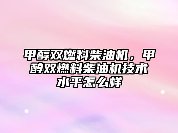 甲醇雙燃料柴油機，甲醇雙燃料柴油機技術(shù)水平怎么樣