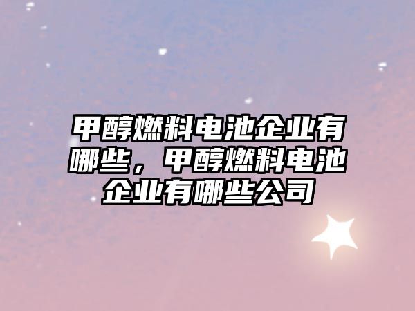 甲醇燃料電池企業(yè)有哪些，甲醇燃料電池企業(yè)有哪些公司